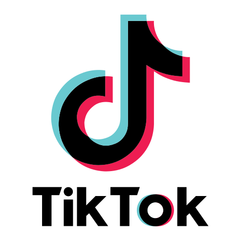 TikTok Icon